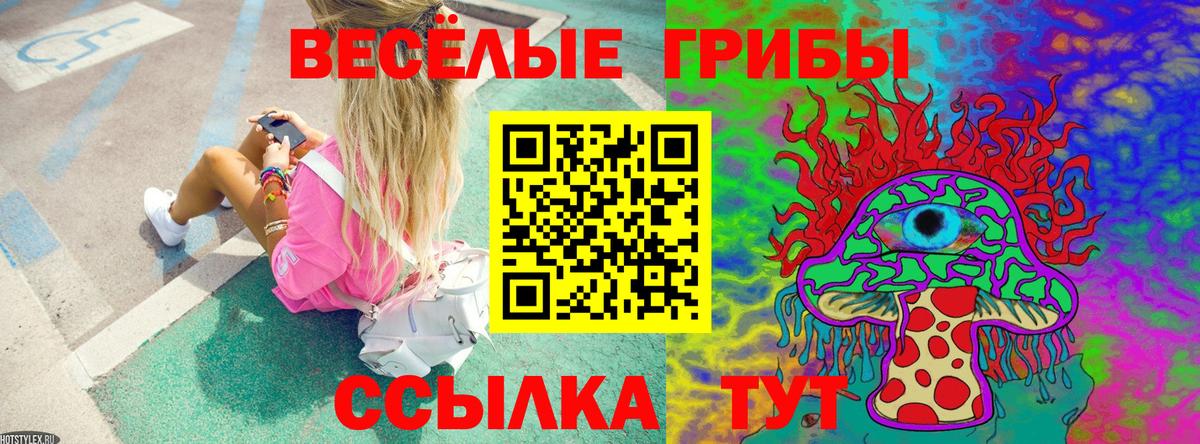 Галлюциногенные грибы прущие грибы Красноуфимск
